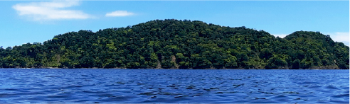 Isla